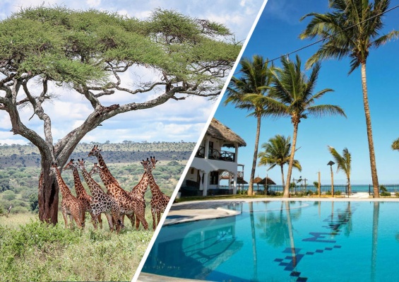 Combiné Ôclub Experience Nest Style Beach Hotel 4* & Safari 2 Nuits Combiné Ôclub Experience Nest Style Beach Hotel 4* & Safari 2 Nuits