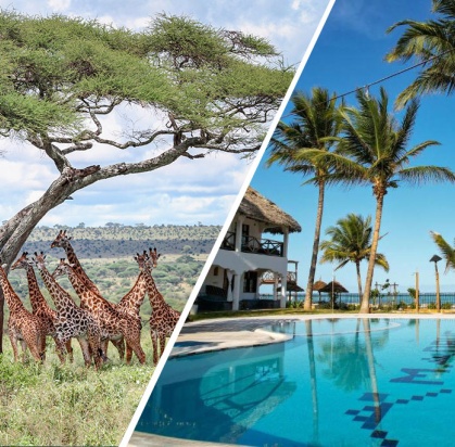 Combiné Ôclub Experience Nest Style Beach Hotel 4* & Safari 2 Nuits, Combiné Tanzanie, Zanzibar par Ôvoyages Combiné Ôclub Experience Nest Style Beach Hotel 4* & Safari 2 Nuits, Combiné Tanzanie, Zanzibar par Ôvoyages