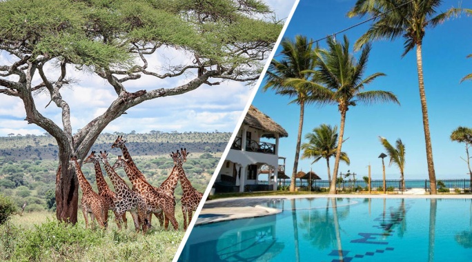 Combiné Ôclub Experience Nest Style Beach Hotel 4* & Safari 2 Nuits, Combiné Tanzanie, Zanzibar par Ôvoyages Combiné Ôclub Experience Nest Style Beach Hotel 4* & Safari 2 Nuits, Combiné Tanzanie, Zanzibar par Ôvoyages