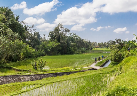 Combiné Ubud & Sanur : The Mansion Ubud 4* & Hôtel Prama Sanur Beach 4* by Ôvoyages Combiné Ubud & Sanur : The Mansion Ubud 4* & Hôtel Prama Sanur Beach 4* by Ôvoyages