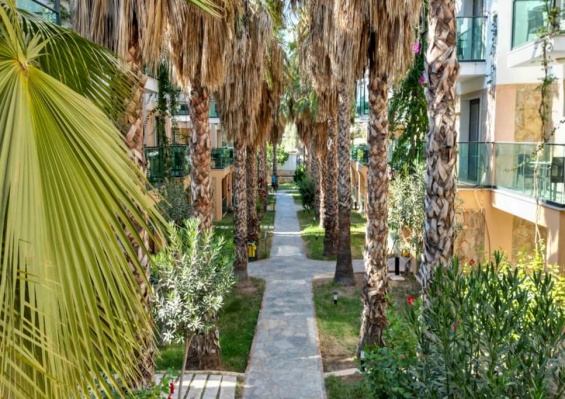 Hôtel Jasmin Beach 4* Hôtel Jasmin Beach 4*