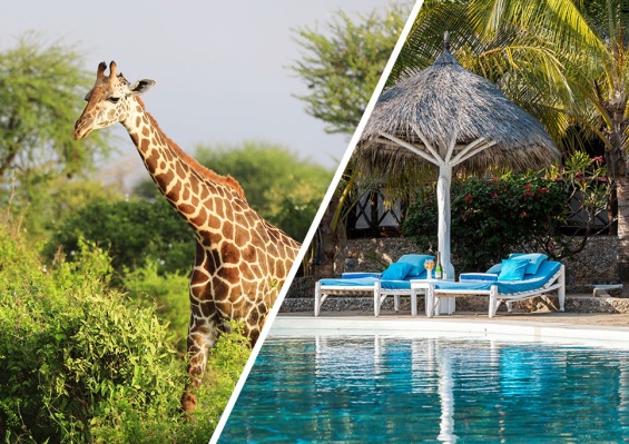 Hôtel Exploreans Malaika Villas & Beach Club 3* by Ôvoyages + Safari 2 Nuits dans le Parc National de Tsavo Est Hôtel Exploreans Malaika Villas & Beach Club 3* by Ôvoyages + Safari 2 Nuits dans le Parc National de Tsavo Est
