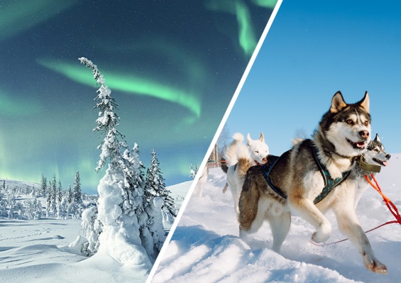 Ôclub Experience Arctic Holiday Katinkulta (jusqu’à 5 activités immersives incluses) Ôclub Experience Arctic Holiday Katinkulta (jusqu’à 5 activités immersives incluses)