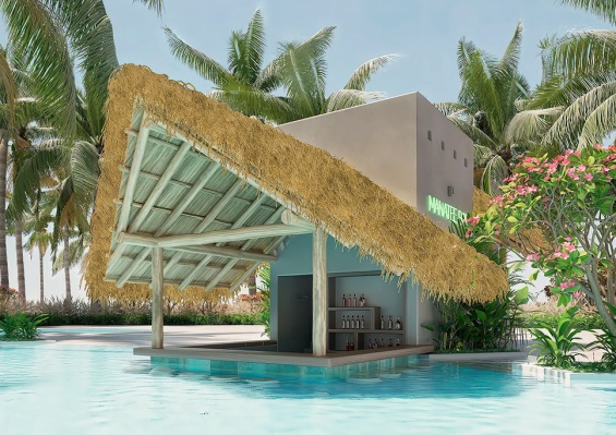 Hôtel Dreams Playa Esmeralda 5* Hôtel Dreams Playa Esmeralda 5*
