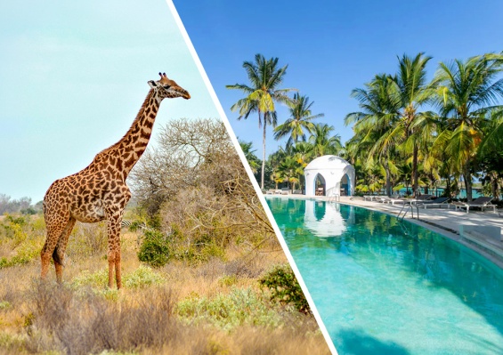 Ôcombiné - Ôclub Sun Palm Beach 4* & safari 2 nuits Tsavo Ôcombiné - Ôclub Sun Palm Beach 4* & safari 2 nuits Tsavo - photo 1