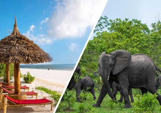 Combiné AHG Sun Bay Mlilile Beach Hotel 4* + Safari 2 nuits dans la réserve de Selous en avion Combiné AHG Sun Bay Mlilile Beach Hotel 4* + Safari 2 nuits dans la réserve de Selous en avion