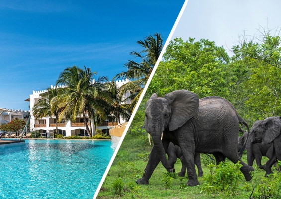 Combiné Royal Zanzibar Beach Resort 5* + Safari 2 nuits dans la réserve de Selous Combiné Royal Zanzibar Beach Resort 5* + Safari 2 nuits dans la réserve de Selous