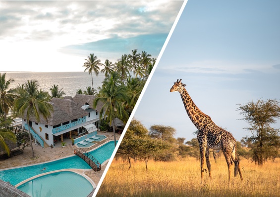 Combiné Jaz Adonia Beach Resort 4* & Safari 2 nuits dans la réserve de Selous en avion Combiné Jaz Adonia Beach Resort 4* & Safari 2 nuits dans la réserve de Selous en avion - photo 1