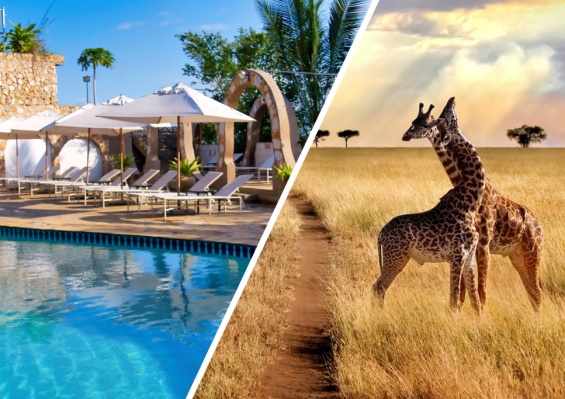 Combiné Palumbo Waves Resort 4* & Safari 2 nuits dans la réserve de Selous en avion Combiné Palumbo Waves Resort 4* & Safari 2 nuits dans la réserve de Selous en avion - photo 1
