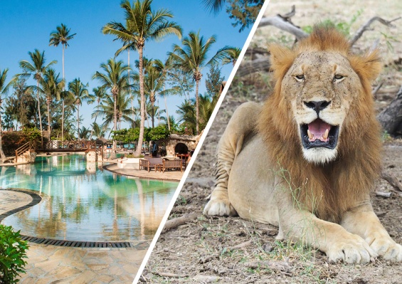 Combiné Jaz Amaluna 4* Adult Only +16 & Safari 2 nuits dans la réserve de Selous en avion Combiné Jaz Amaluna 4* Adult Only +16 & Safari 2 nuits dans la réserve de Selous en avion