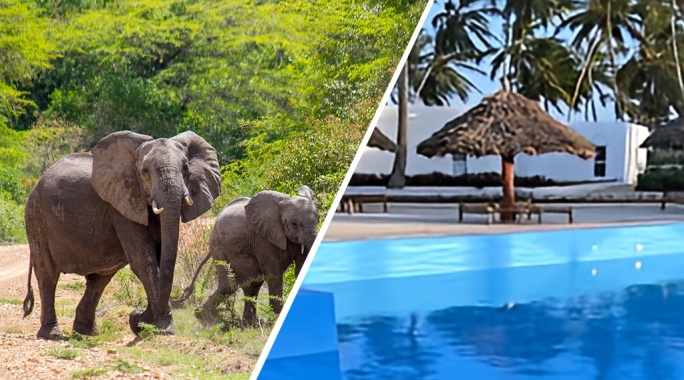 Combiné SBH Kilindini 5* & Safari 2 nuits dans la réserve de Selous en avion, Combiné Tanzanie, Zanzibar par Ôvoyages Combiné SBH Kilindini 5* & Safari 2 nuits dans la réserve de Selous en avion, Combiné Tanzanie, Zanzibar par Ôvoyages