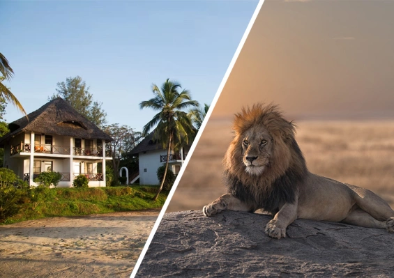 Hôtel Antonio Beach Tree House & Spa 4* + Safari 2 nuits dans la réserve de Selous en avion Hôtel Antonio Beach Tree House & Spa 4* + Safari 2 nuits dans la réserve de Selous en avion