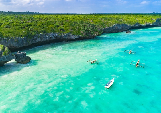 Hôtel Antonio Beach Tree House & Spa 4* + Safari 2 nuits dans la réserve de Selous en avion Hôtel Antonio Beach Tree House & Spa 4* + Safari 2 nuits dans la réserve de Selous en avion