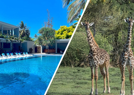 Combiné Matemwe Sands Beach Resort 5* + Safari 2 nuits dans la réserve de Selous en avion Combiné Matemwe Sands Beach Resort 5* + Safari 2 nuits dans la réserve de Selous en avion - photo 1