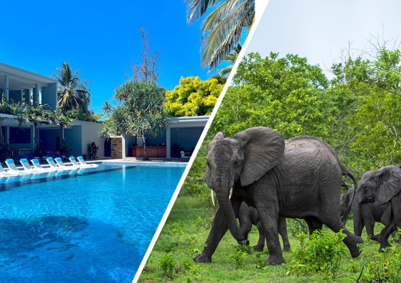 Combiné Matemwe Sands Beach Resort 5* + Safari 2 nuits dans la réserve de Selous en avion Combiné Matemwe Sands Beach Resort 5* + Safari 2 nuits dans la réserve de Selous en avion