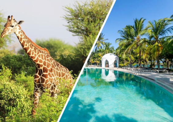 Combiné Circuit Amboseli, Tsavo Ouest & Est en 5 nuits + Ôclub Experience Sun Palm Beach Hotel & Resort 4* Combiné Circuit Amboseli, Tsavo Ouest & Est en 5 nuits + Ôclub Experience Sun Palm Beach Hotel & Resort 4*
