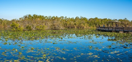 Circuit de la Floride à Key West avec croisière Bahamas, Séjour Etats-Unis par Ôvoyages Circuit de la Floride à Key West avec croisière Bahamas, Séjour Etats-Unis par Ôvoyages