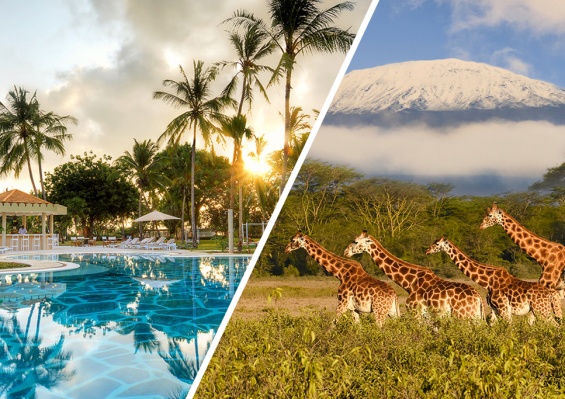 Circuit entre savane et Océan Indien : Amboseli, Tsavo et Malindi en 7 nuits Circuit entre savane et Océan Indien : Amboseli, Tsavo et Malindi en 7 nuits