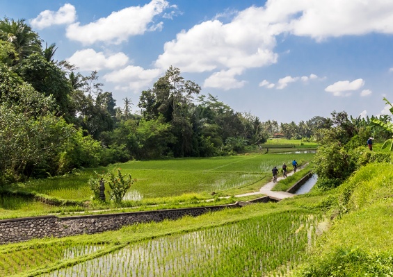 Combiné Ubud & Nusa Dua : Candy Villas by Pramana 4* & Ôclub Select Merusaka Nusa Dua 5* Combiné Ubud & Nusa Dua : Candy Villas by Pramana 4* & Ôclub Select Merusaka Nusa Dua 5*