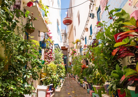 City Break à Tanger by Ôvoyages City Break à Tanger by Ôvoyages