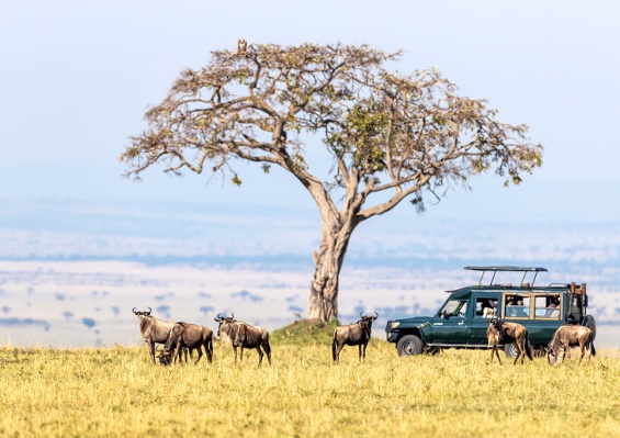 Circuit Les Trésors du Kenya en 8 nuits Circuit Les Trésors du Kenya en 8 nuits