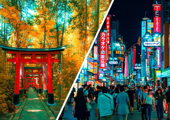 Ôcircuit Essentiel - Premiers regards sur le Japon & Tokyo en liberté Ôcircuit Essentiel - Premiers regards sur le Japon & Tokyo en liberté