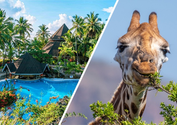 Combiné Safari Kenya : Tsavo, Naivasha, Lac Naivasha & Amboseli & Diani Reef Beach Resort & Spa 4* Combiné Safari Kenya : Tsavo, Naivasha, Lac Naivasha & Amboseli & Diani Reef Beach Resort & Spa 4* - photo 1
