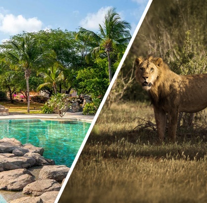 Ôcombiné - Lion In The Sun Boutique & Spa 4* & Safari 1 nuit, Séjour Kenya par Ôvoyages Ôcombiné - Lion In The Sun Boutique & Spa 4* & Safari 1 nuit, Séjour Kenya par Ôvoyages
