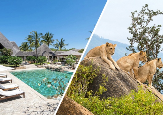 Ôcombiné - Lion In The Sun Boutique & Spa 4* & Safari 3 nuits Ôcombiné - Lion In The Sun Boutique & Spa 4* & Safari 3 nuits - photo 1