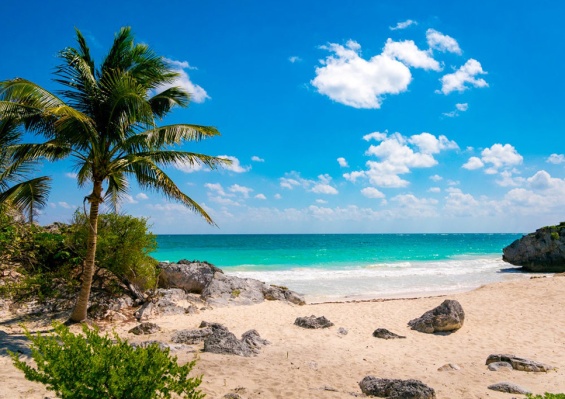 Hôtel Tukan Playa del Carmen 3* Hôtel Tukan Playa del Carmen 3*