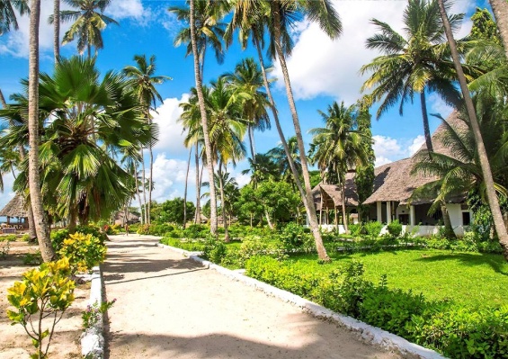Hôtel Antonio Beach Tree House & Spa 4* Hôtel Antonio Beach Tree House & Spa 4*