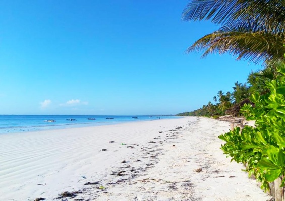 Hôtel Zanzibar Bahari Villas 4* Hôtel Zanzibar Bahari Villas 4*
