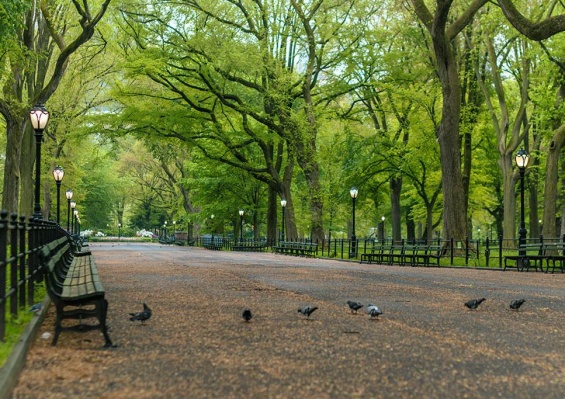 Escapade New Yorkaise avec visites incluses Escapade New Yorkaise avec visites incluses