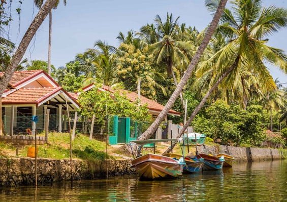 Circuit Les Incontournables du Sri Lanka & extension Maldives Dusit D2 Feydhoo 5* by Ôvoyages Circuit Les Incontournables du Sri Lanka & extension Maldives Dusit D2 Feydhoo 5* by Ôvoyages