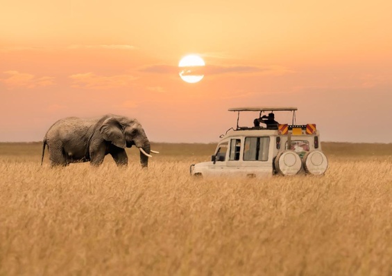 Circuit Safari Inoubliable au Kenya 4*/5* Circuit Safari Inoubliable au Kenya 4*/5*