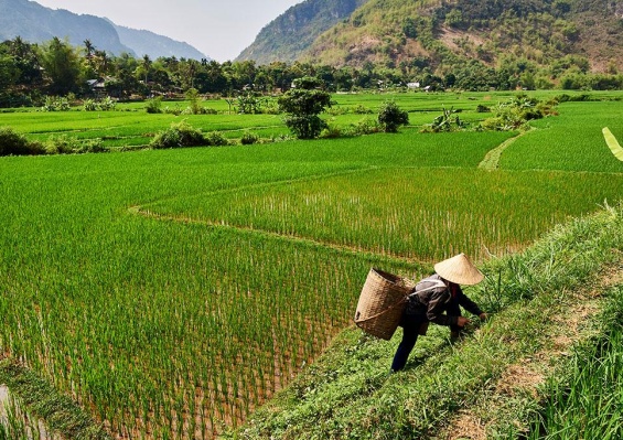 Circuit Paysages Majestueux du Vietnam & du Cambodge 4*/5* Circuit Paysages Majestueux du Vietnam & du Cambodge 4*/5*