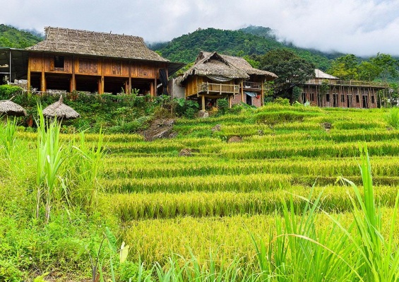 Circuit Paysages Majestueux du Vietnam Nord au Sud & plage 4*/5* Circuit Paysages Majestueux du Vietnam Nord au Sud & plage 4*/5*