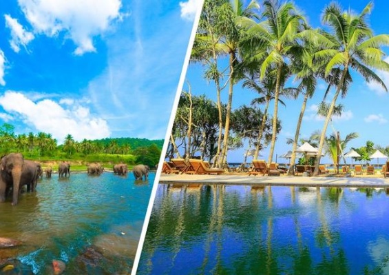 Combiné Balade Sri Lankaise privative 4* & Ôclub Experience Pandanus Beach Resort & Spa 5* Combiné Balade Sri Lankaise privative 4* & Ôclub Experience Pandanus Beach Resort & Spa 5*
