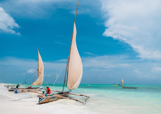 Combiné Safari 2 nuits dans la Réserve de Saadani & Ôclub Select SBH Monica Zanzibar 5* Combiné Safari 2 nuits dans la Réserve de Saadani & Ôclub Select SBH Monica Zanzibar 5*