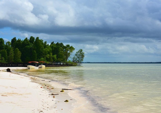 Combiné Ôclub Zen Pearl Beach Resort Zanzibar 4* et Ôclub Zen Sansi Kendwa Beach Resort 4* Combiné Ôclub Zen Pearl Beach Resort Zanzibar 4* et Ôclub Zen Sansi Kendwa Beach Resort 4*