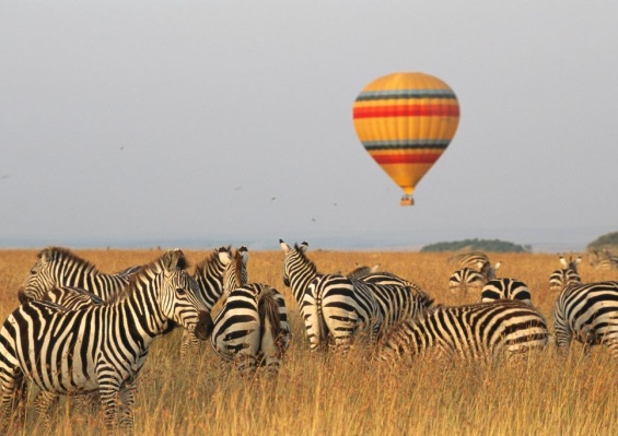 Combiné Safari Kenya : Tsavo, Naivasha, Lac Naivasha et Amboseli & Leopard Beach Resort 5* Combiné Safari Kenya : Tsavo, Naivasha, Lac Naivasha et Amboseli & Leopard Beach Resort 5*