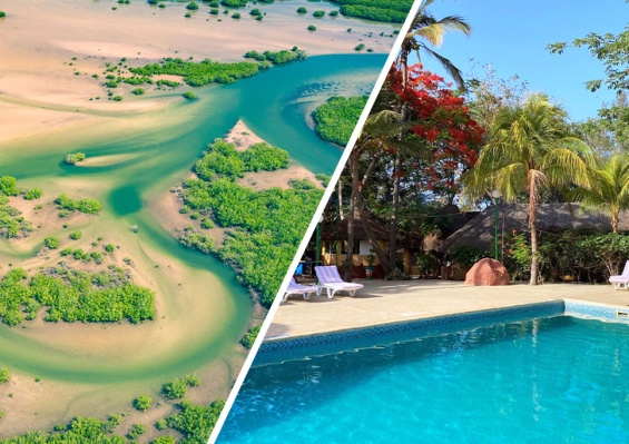 Combiné Circuit Découverte de la Mangrove 3* & Ôclub Experience African Village Bougainvillées 3* Combiné Circuit Découverte de la Mangrove 3* & Ôclub Experience African Village Bougainvillées 3*