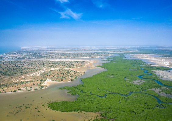 Combiné Circuit Découverte de la Mangrove 3* & Ôclub Experience African Village Bougainvillées 3* Combiné Circuit Découverte de la Mangrove 3* & Ôclub Experience African Village Bougainvillées 3*