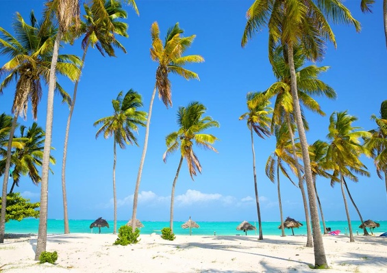Hôtel Diamonds Mapenzi Beach 4* Hôtel Diamonds Mapenzi Beach 4*