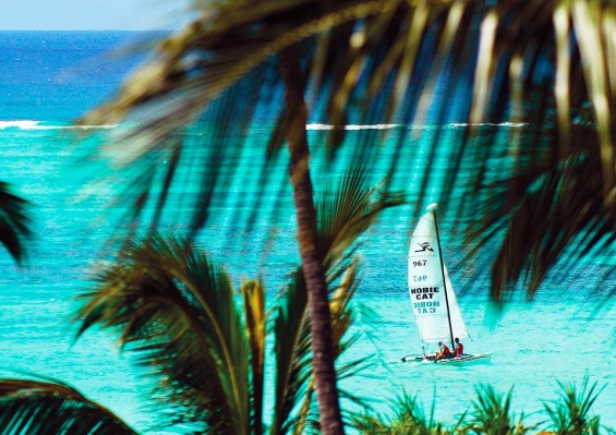 Hôtel Diamonds Mapenzi Beach 4* Hôtel Diamonds Mapenzi Beach 4*