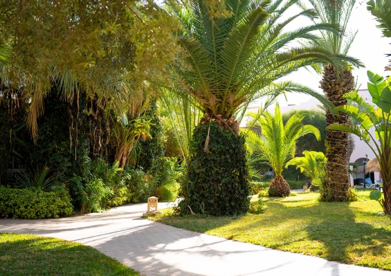 Hôtel Eden Yasmine Resort & Spa 4* Hôtel Eden Yasmine Resort & Spa 4*