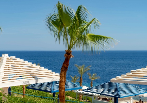 Hôtel Grand Oasis Resort 4* Hôtel Grand Oasis Resort 4*