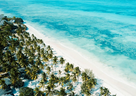 Hôtel Jaz Aurora Beach 5* Hôtel Jaz Aurora Beach 5*