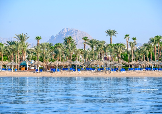 Hôtel Jaz Sharm Dreams 5* Hôtel Jaz Sharm Dreams 5*