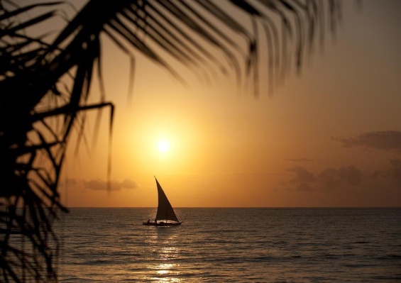 Hôtel Neptune Palm Beach Boutique Resort & Spa 4* + Safari 3 nuits Hôtel Neptune Palm Beach Boutique Resort & Spa 4* + Safari 3 nuits